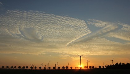 Windpark im Aufbau bei Sonnenuntergang mit Cirrocumuluswolken
