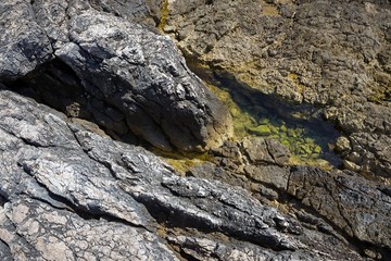 Beach with rocks and clean water