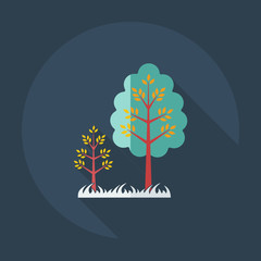 Flat modern design with shadow icons tree