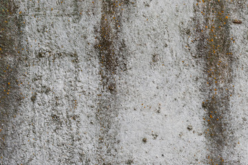 Texture. Wall. A background with attritions and cracks
