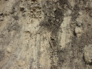 Sand with Dark Patches