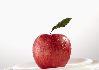fruit