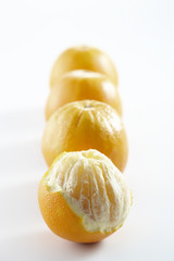 fruit