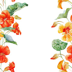 Watercolor nasturtium flower pattern - obrazy, fototapety, plakaty
