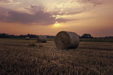 Snopy siana w blasku wschodzącego słońca. Pastelowe Vintage - obrazy, fototapety, plakaty