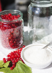Berries on the table