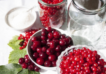 Berries on the table