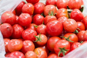 Cropping cherry tomatoes