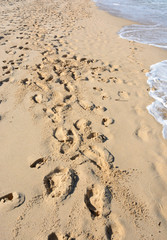 Fototapeta na wymiar Footprints/footprints of various sizes on a Mediterranean beach