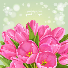 Green background of pink tulips