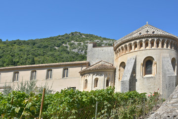 Obraz premium vignes et église à saint guilhem le désert