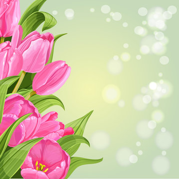 Green shining background of pink tulips