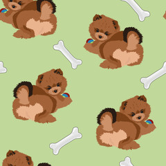 Vector cute seamless dog pattern with pomeranian spitz puppy and bones