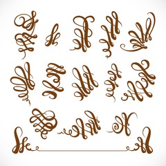 Calligraphic vintage elegant curls elements set isolated on whit