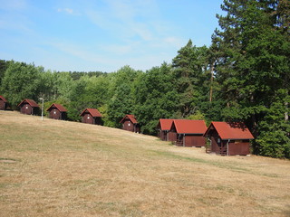 Fototapeta premium OLYMPUS DIGITAL CAMERA