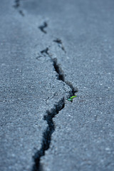 Long Crack in the Road