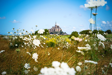 mont Saint Michel between flowers