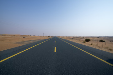 Lonely Road