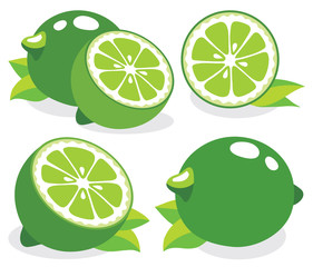 Fresh limes vector illustration