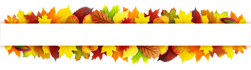 Colorful autumn leaves banner - Powered by Adobe