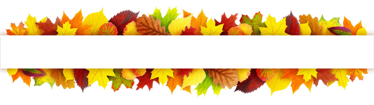 Colorful autumn leaves banner