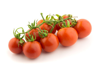 Fresh tomatoes on branch 