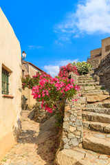 Old houses decorated with flowers in narrow walking alley in typical Corsican mountain village of Sant Antonino, Corsica island, France