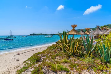 Photo sur Plexiglas Plage de Palombaggia, Corse Tropical agave plants on beautiful beach in Saint Cyprien coastal town, Corsica island, France