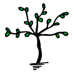 tree illustration