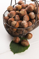 hazelnuts in basket