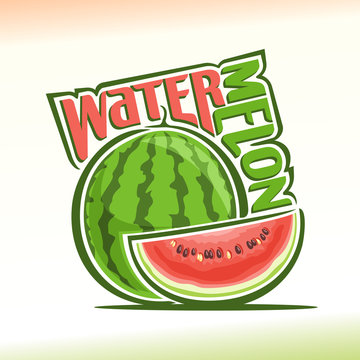 Vector illustration on the theme of watermelon