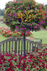 Colourful Flower Basket Tree