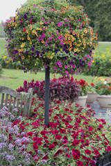 Fototapeta na wymiar Colourful Flower Basket Tree