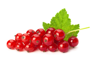 Red currant with leaf