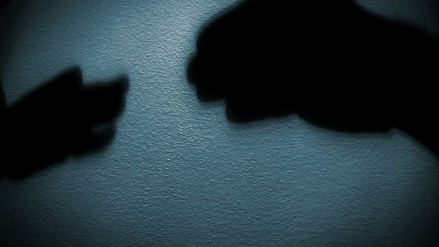 Mimic game: shadows of people's arms render an impulsive chat of two dogs