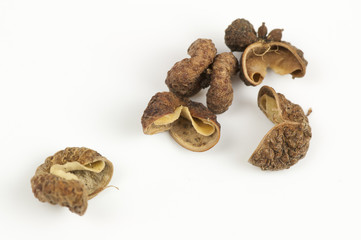 Sichuan pepper close up