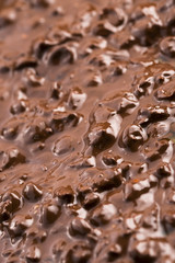 Chocolate with hazelnuts