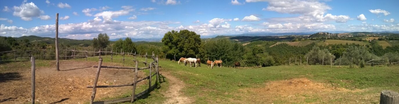 Panorama 1