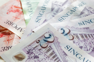 Singapore dollars  the basic monetary unit of Singapore.