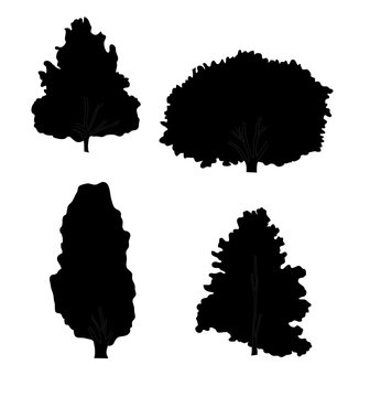 Black silhouette of different species of trees
