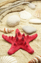 Fototapeta na wymiar Red Starfish Among Seashells and Pebbles on Beach Sand