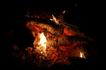 Fototapeta na wymiar Campfire Outside at Night