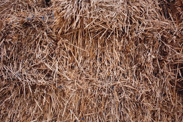 Dry straw
