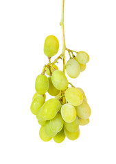 bunch of green grapes isolated on a white background