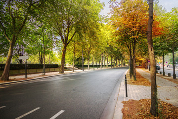 Street in Paris