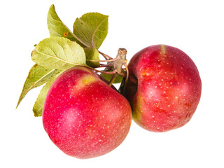 two apples with leaves isolated on white background