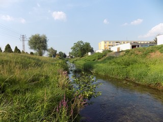 Fototapeta na wymiar Creek and meadow in city edge