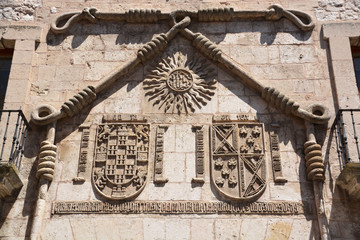 escudo heraldico de piedra en la casa del cordon de burgos