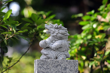 Shrine Toyosaki-jinja-Tatsu