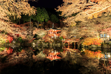 Fototapeta na wymiar Autumn Leaves at road in Daigo-ji Temple, japan.